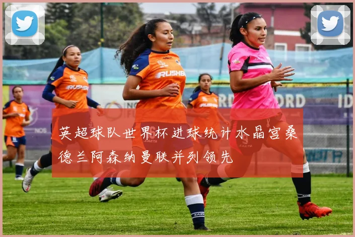 英超球队世界杯进球统计水晶宫桑德兰阿森纳曼联并列领先