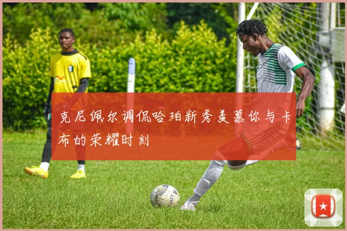 克尼佩尔调侃哈珀新秀羡慕你与卡布的荣耀时刻