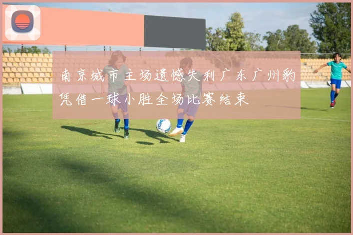 南京城市主场遗憾失利广东广州豹凭借一球小胜全场比赛结束